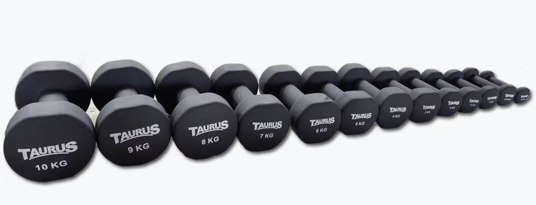 TAURUS Neopreen Studio Trainingshalter: 0,75 tot 10 kg